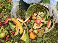 shutterstock_2566237649_compost_komposts.jpg