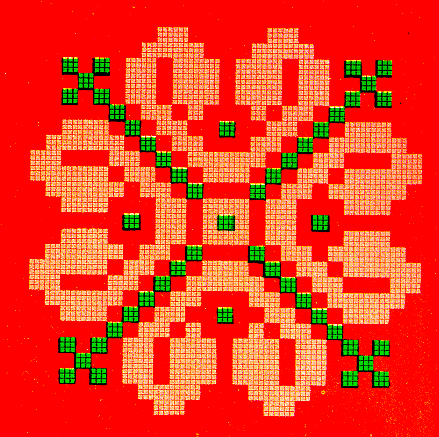 4.gif