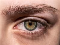 Shutterstock_2454020583_human eye_cilvēka acs.jpg