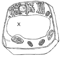 jik.png