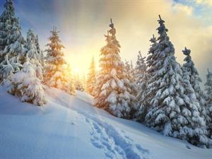 Shutterstock_86751703_winter landscape_ziemas ainava.jpg