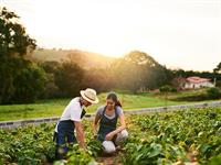 shutterstock_2485558471_work_darbs.jpg