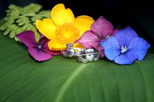 claddagh-rings-pix.jpg