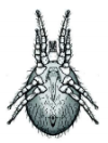erce1.PNG