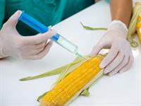 Shutterstock_463550363_injection_injekcija.jpg