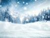 Shutterstock_1166024479_snow_sniegs.jpg