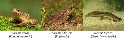 YCUZD_241206_6873_Dzivn_sist_3.png