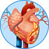 YCUZD_230908_5535_zirgs_3.png