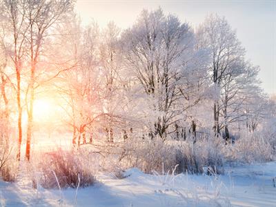 shutterstock_524011267 winter.jpg