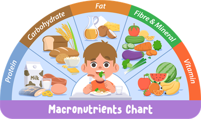 YCUZD_241007_6675_macronutrients.png