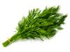 Shutterstock_1235187985_dill_dilles.jpg