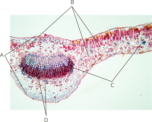 YCUZD_250324_7161_28.png