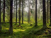 shutterstock_601970732.jpg