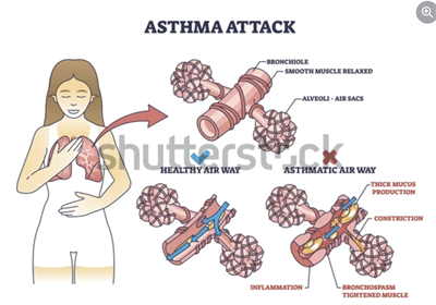 Screenshot 2026-02-18 101652.png