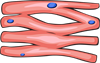 YCUZD_230908_5535_koijots_2.png