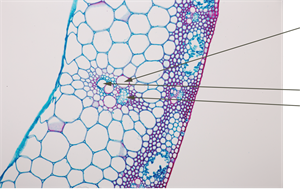 YCUZD_250324_7161_14.png
