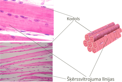 YCUZD_250325_7160_11.png