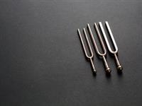 Shutterstock_645895126_tuning forks_toņdakšas.jpg