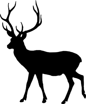 10.png