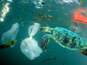 Shutterstock_1450059776_Plastic pollution in ocean_Plastmasas piesārņojums okeānā.jpg