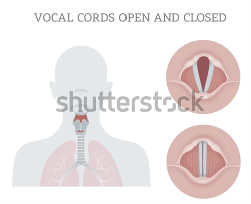 Screenshot 2026-02-08 235925.png