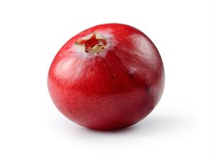 shutterstock_1932619172.jpg