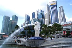 255.jpg