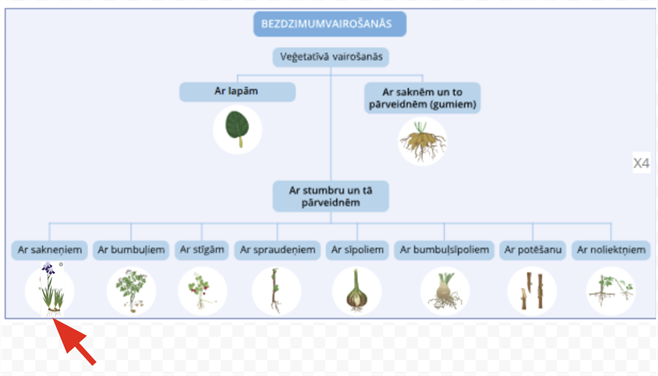 Screenshot 2025-10-29 103713.png