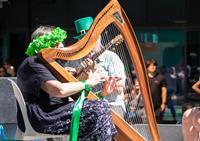 harp2.jpg