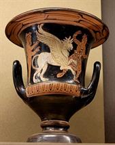 kraters-ziedkauss1.jpg