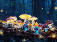 Shutterstock_1865031892_magical mushrooms_maģiskās sēnes.jpg