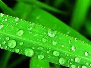 water-1554418_960_720.jpg
