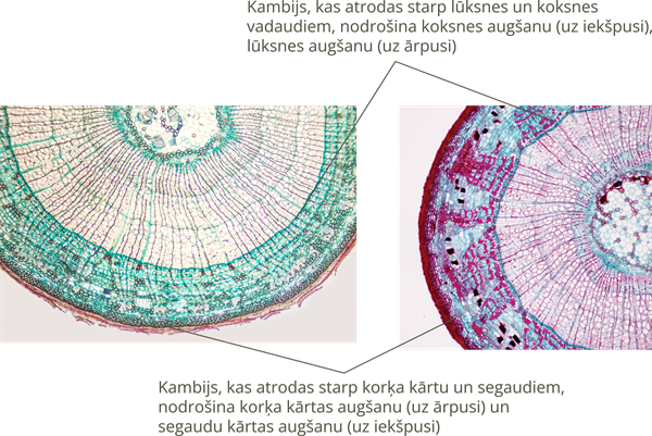 YCUZD_250323_7159_11.png