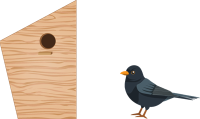 5_1.png