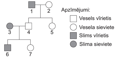 Screenshot 2025-10-08 130716.png