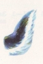 a1.png