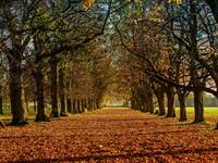 Shutterstock_2464006451_autumn_rudens.jpg