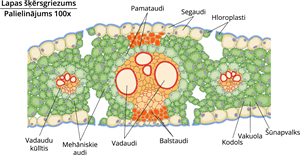 YCUZD_241008_6683_2_3.png