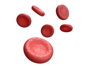 Shutterstock_1398037391_blood cells_asinsķermenīši.jpg