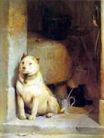 animal8.JPG