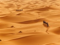 shutterstock_2647734685_Sahara Desert_Sahāras tuksnesis.jpg