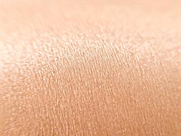 shutterstock_2485397985_skin_āda.jpg
