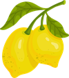 YCUZD_220629_3979_lemons_citroni.png