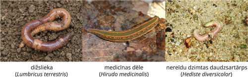 YCUZD_241206_6873_9.png