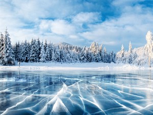 Shutterstock_655427254_winter_ziema.jpg