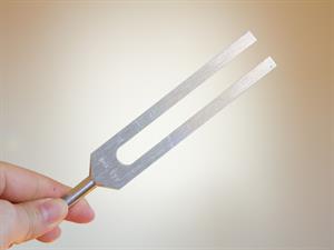 Shutterstock_585843023_tuning fork_toņdakša.jpg