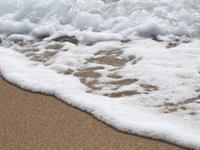Shutterstock_1749234659_sea foam_jūras putas.jpg