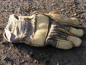 glove-1562744_1920.jpg