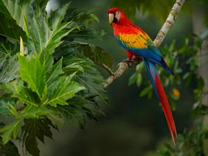 shutterstock_1397620757.jpg
