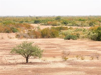 Shutterstock_1241730412_desert_tuksnesis.jpg